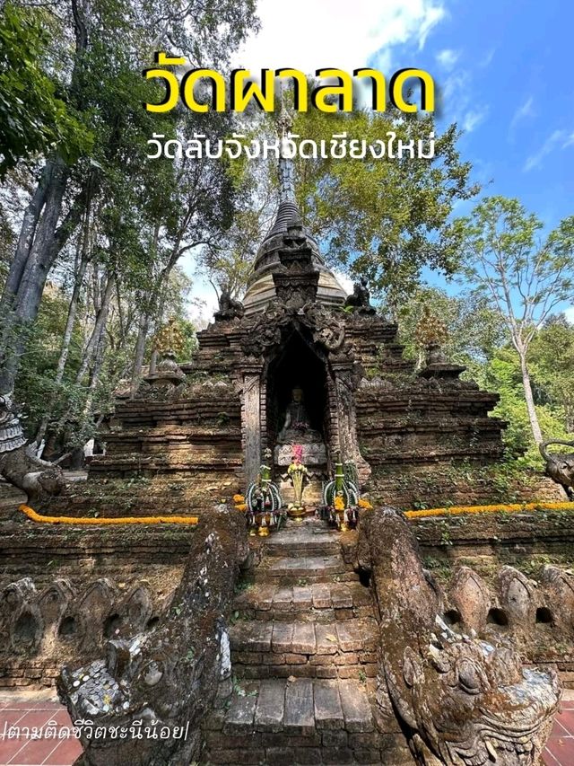 เที่ยววัดผาลาด เชียงใหม่