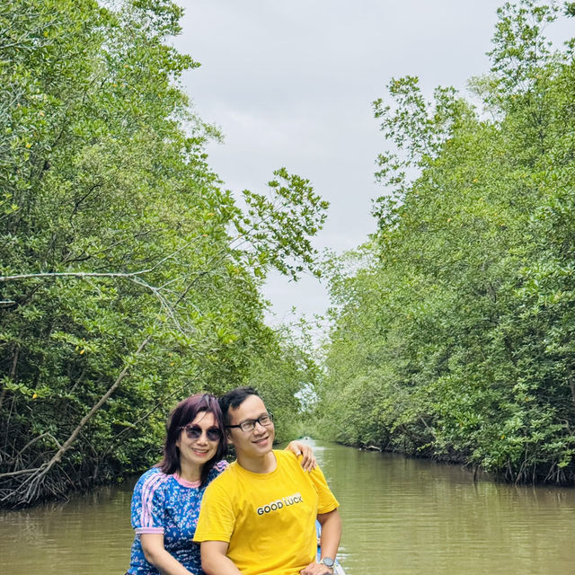 Ca Mau Primeval forest park 