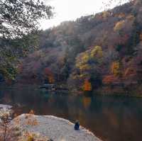 深秋紅葉下的嵐山公園