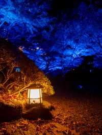 【無料で楽しめる！✨】八芳園のブルーライトアップが幻想的すぎる！！💡