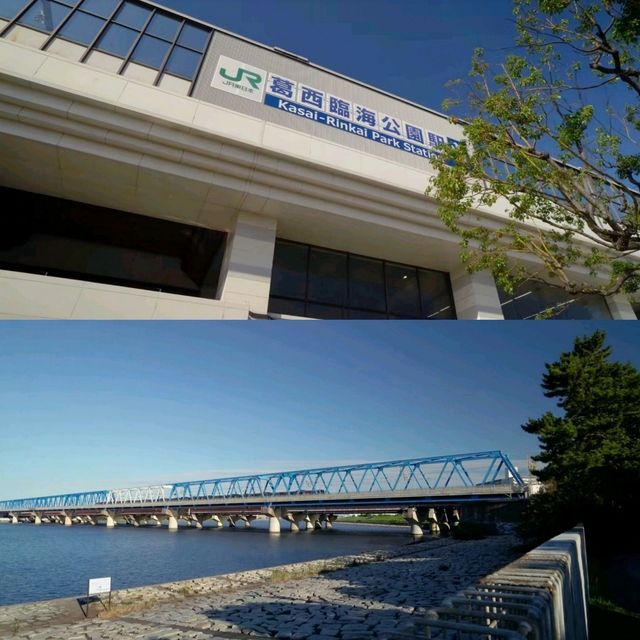 東京葛西臨海公園