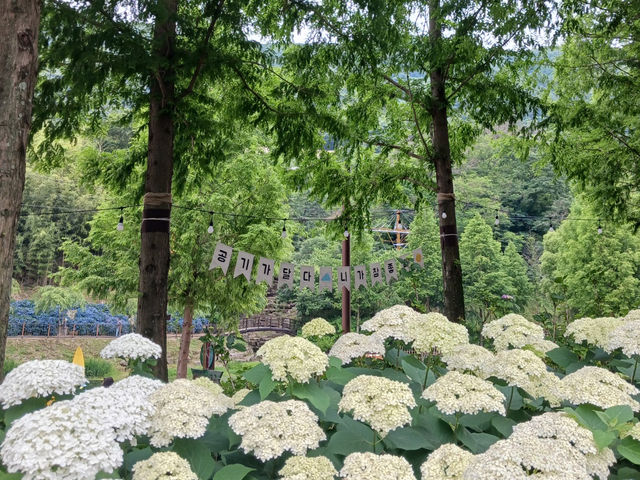  "월아산 숲속에서 만난 진짜 힐링, 자연과의 완벽한 타임아웃"