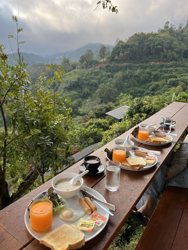 🌲หนาวนี้ที่เชียงใหม่⛰️🌷