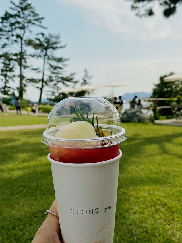 넓은 잔디밭에서 피크닉을, 카페 오송웨이브 🌊💕