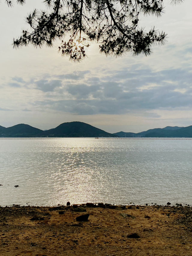 넓은 잔디밭에서 피크닉을, 카페 오송웨이브 🌊💕