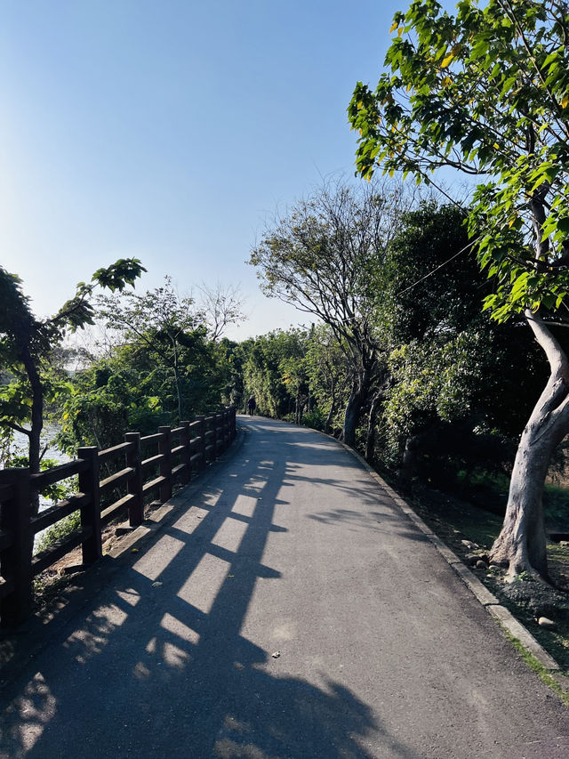 ［桃園旅遊］桃園埤塘1-16號池💧桃園小秘境
