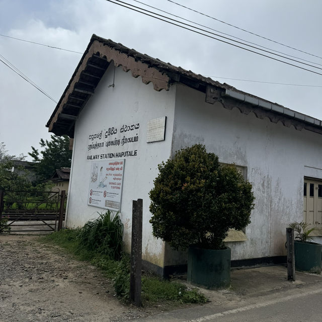 斯里蘭卡🇱🇰 - Lipton發源地