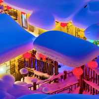 China Snow Town หมู่บ้านหิมะ 中国雪乡