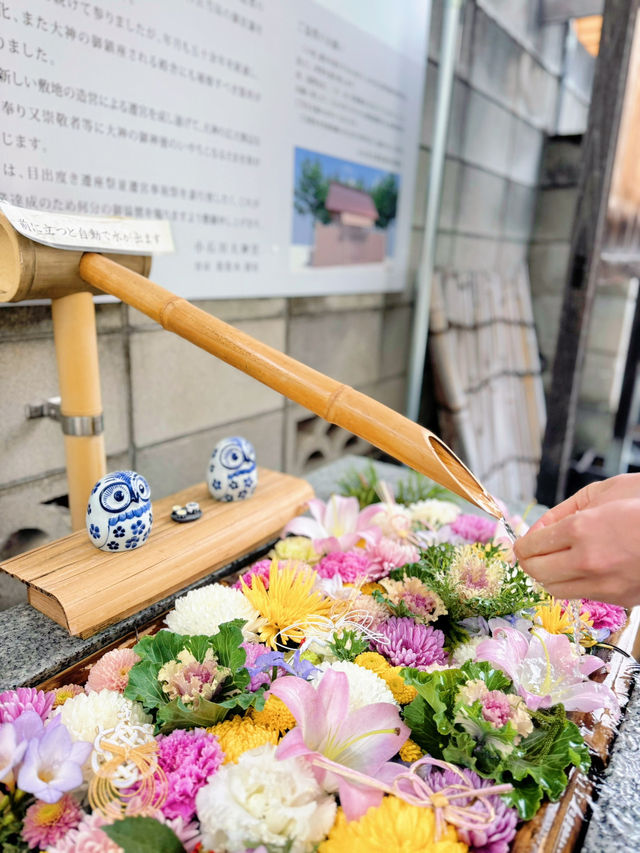 【東京】看板犬こいしちゃんに会いに行きたい🤍毎月行きたい神社⛩✨