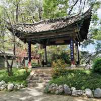 Timeless Streets and Artistic Treasures of Lijiang