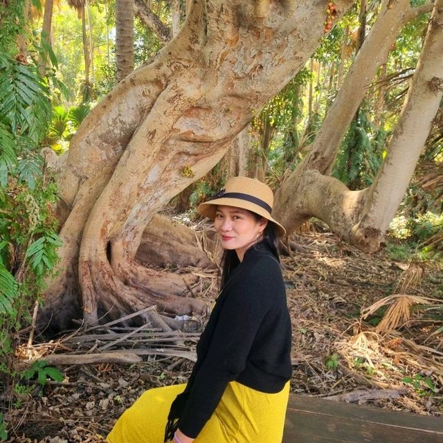 พลังแห่งศรัทธา ป่าคำชะโนด