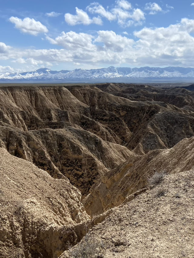 Moon Canyon: Kazakhstan’s Hidden Gem