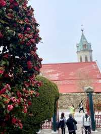 Mount Hakodate : A View to Remember