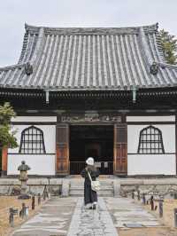 【京都/高台寺】竹林の穴場スポット！！