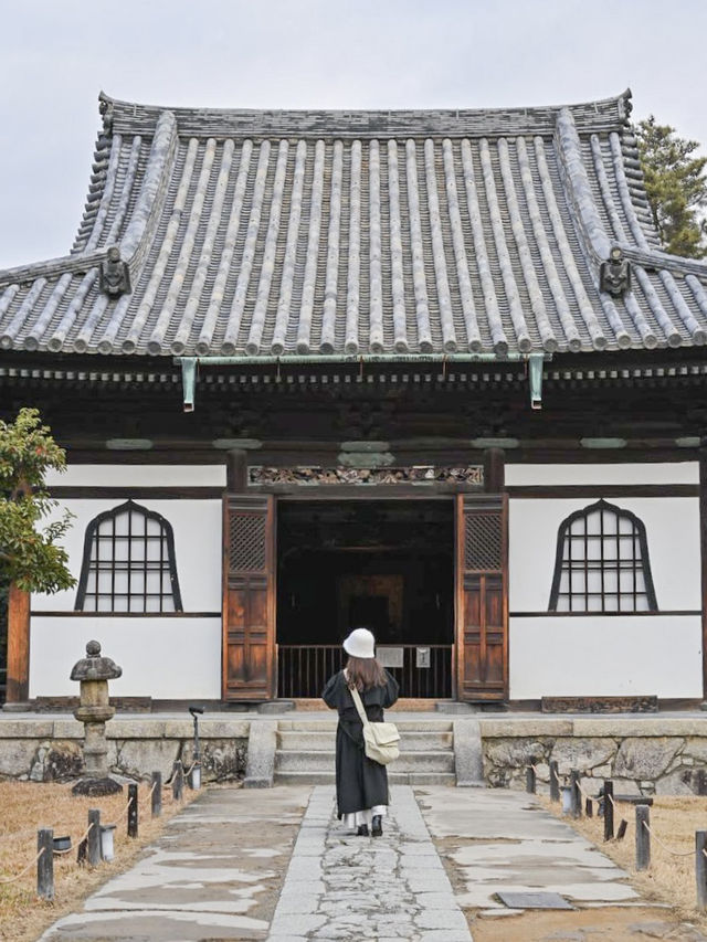 【京都/高台寺】竹林の穴場スポット！！