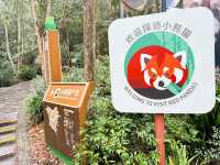 เที่ยว เฉิงตู - ภูเขาซีหลิง 6 วัน 5 คืน🇨🇳