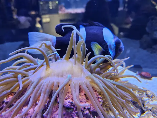 【すみだ水族館】