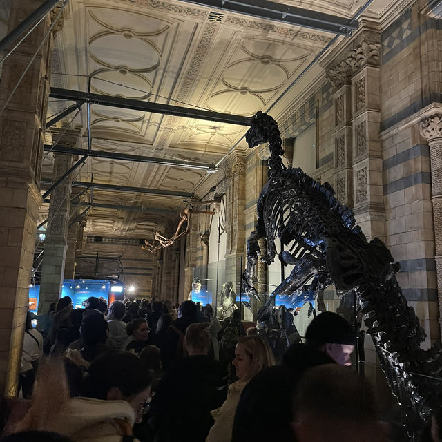 【ロンドン】子どもも大人も夢中になるスポット！🇬🇧🦖