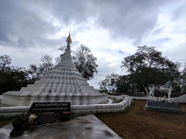 พระธาตุปีเถาะ พระธาตุเก่าแก่คู่บ้านคู่เมืองน่าน