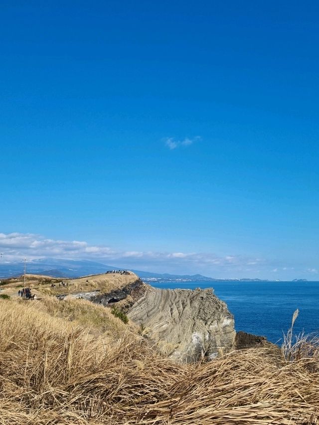 멋진절경을 만날수 있는 송악산 코스!🌳