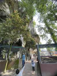 The mount attracted hikers and nature lovers 