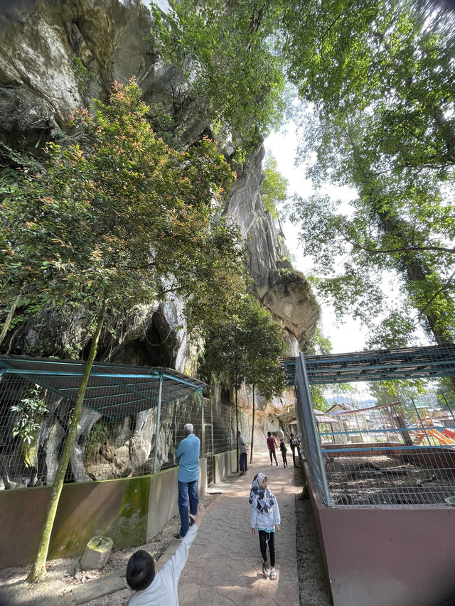 The mount attracted hikers and nature lovers 