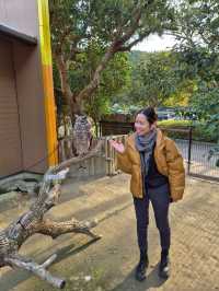 PAW Pet Animal World Nagasaki