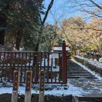 仙台瑞鳳殿：歷史、文化與體驗的融合