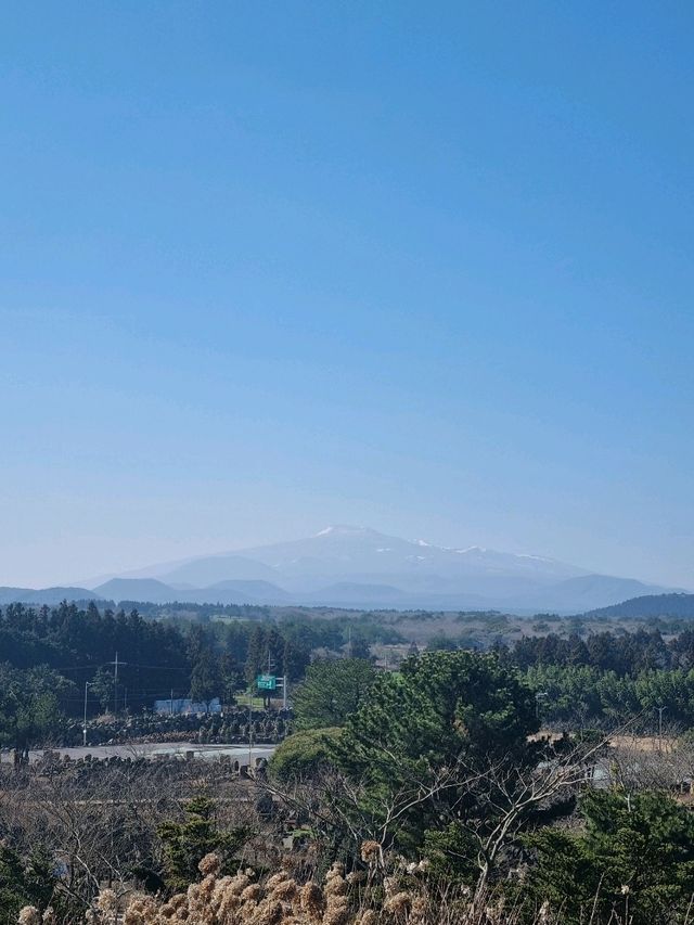 제주도에서 꼭 가봐야할 스타벅스☕️
