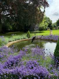 🏰 Castle Ashby Gardens: A Hidden English Gem