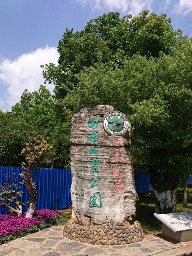 中國最大的喀斯特溶洞博物館：雲南九鄉溶洞