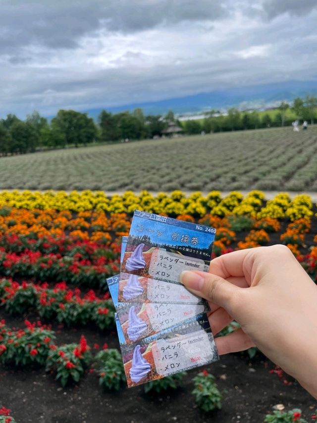 여름에 가기 좋은 훗카이도 비에이 투어🌻🌷🌻🌷