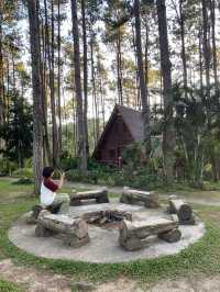 สวนป่าดอยบ่อหลวง | เชียงใหม่ 🏡🌲✨🍃