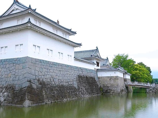 【駿府城下町（②徳川家の開明と城郭）】（静岡県静岡市　旧国名：駿河）