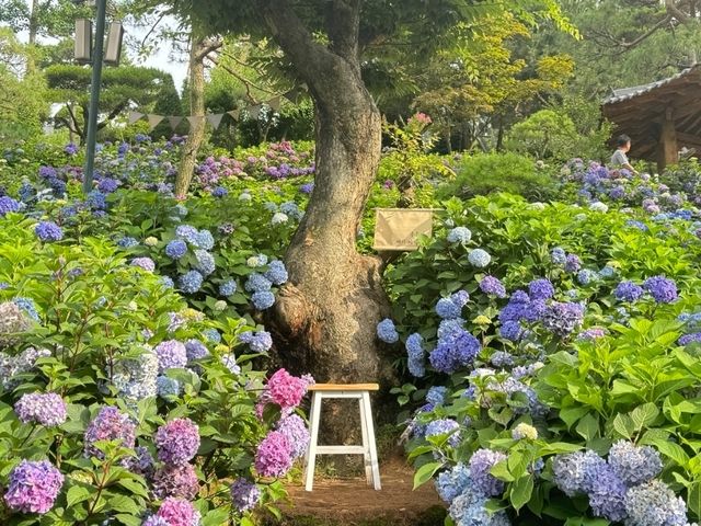 따뜻한 봄이 오면 떠나요 충청도로~