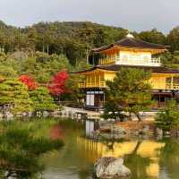 京都好去處