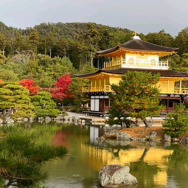 京都好去處
