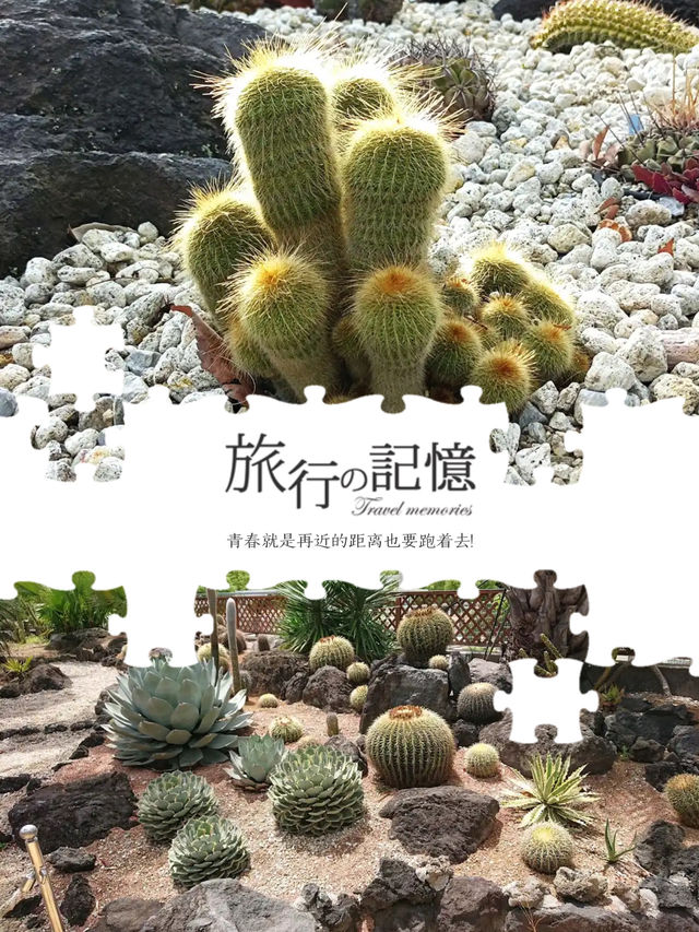 一覽美麗鮮花💐就在Osaka