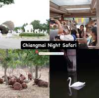 Night Safari แบบเที่ยวกลางวัน 