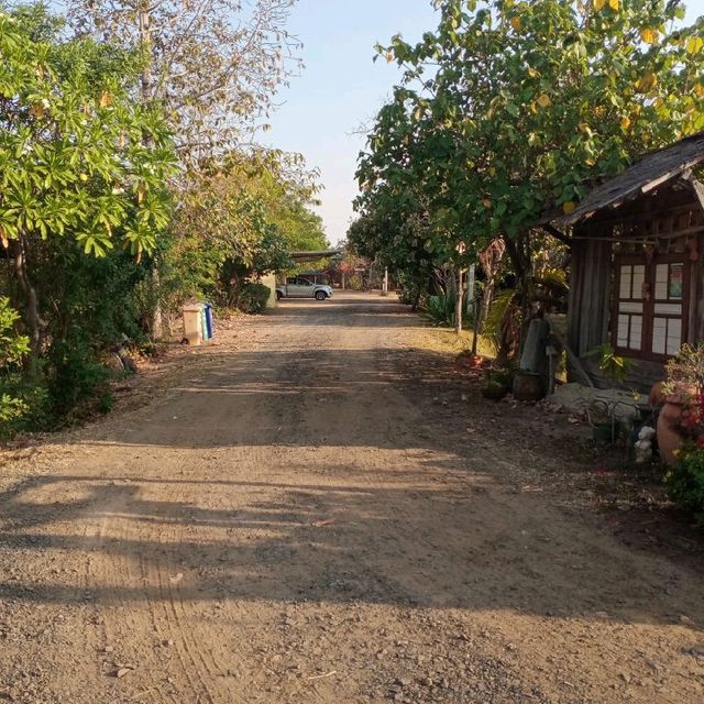 เลาะดอน นอนนา