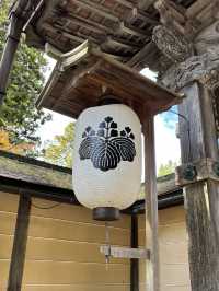 🇯🇵【和歌山】高野山真言宗　総本山金剛峯寺