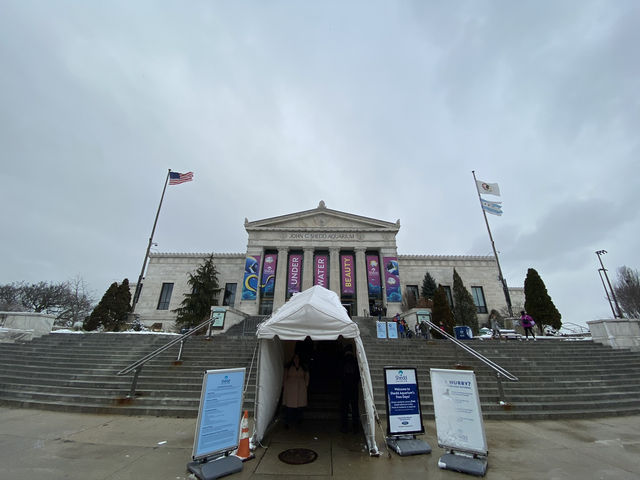シェッド水族館 Shedd Aquarium