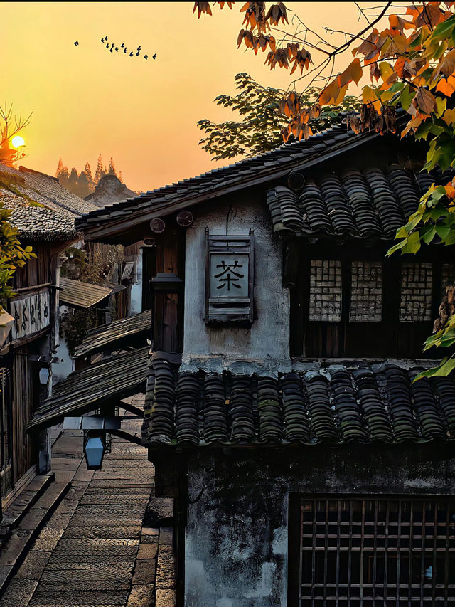 🌊 Step into the Timeless Charm of Wuzhen Water Town 🏯