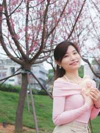 🌸香港櫻花海岸賞花攻略🌸