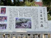 【兵庫県】生田神社の奥にある森