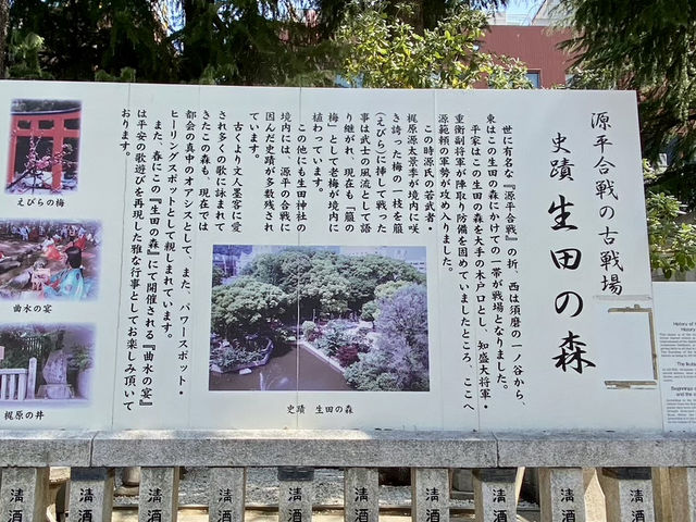 【兵庫県】生田神社の奥にある森