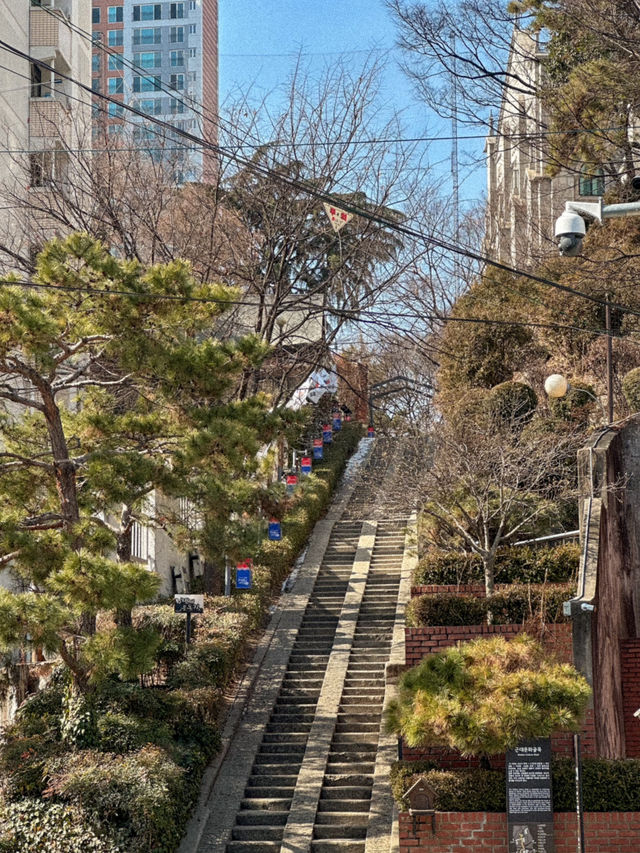 대구 봄에 가기 좋은, 청라언덕