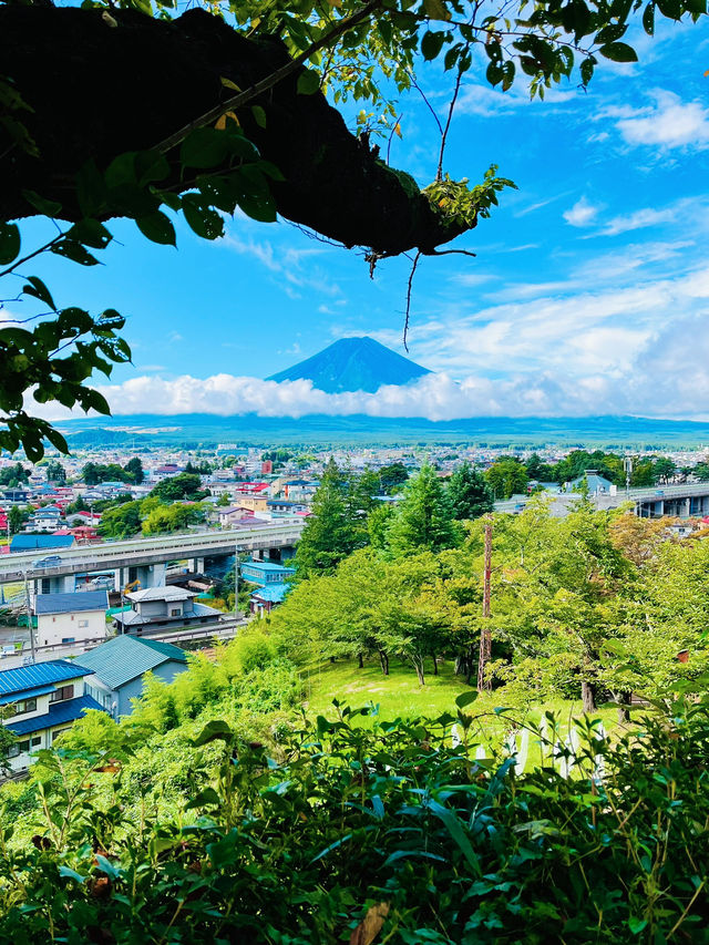 “Timeless Beauty: Mount Fuji’s Iconic View from Arakurayama Sengen Park”