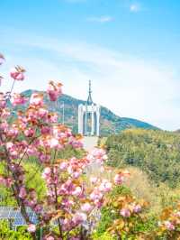 부산 민주공원 겹벚꽃 산책 피크닉 명소💕