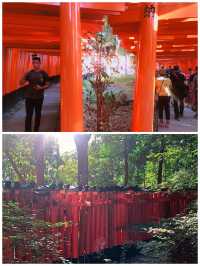 【京都/伏見】朱色鳥居が見どころ‼︎京都の人気観光スポット＊伏見稲荷大社＊